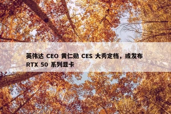 英伟达 CEO 黄仁勋 CES 大秀定档，或发布 RTX 50 系列显卡