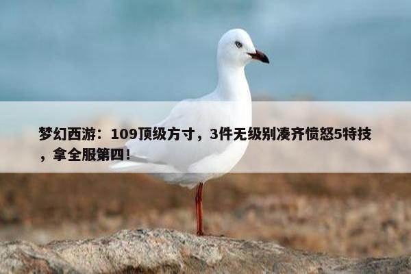 梦幻西游：109顶级方寸，3件无级别凑齐愤怒5特技，拿全服第四！