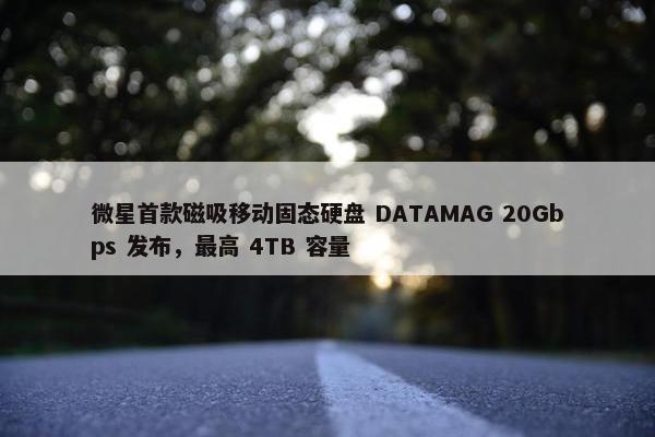 微星首款磁吸移动固态硬盘 DATAMAG 20Gbps 发布，最高 4TB 容量