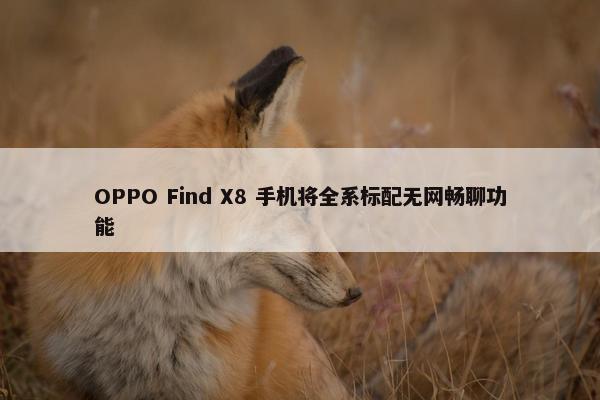 OPPO Find X8 手机将全系标配无网畅聊功能