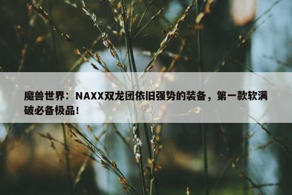 魔兽世界：NAXX双龙团依旧强势的装备，第一款软满破必备极品！