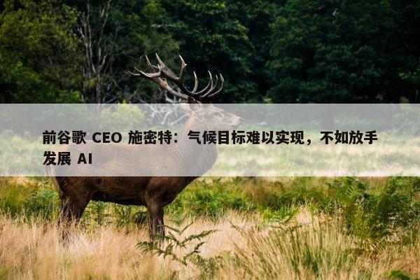 前谷歌 CEO 施密特：气候目标难以实现，不如放手发展 AI