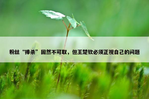 粉丝“捧杀”固然不可取，但王楚钦必须正视自己的问题