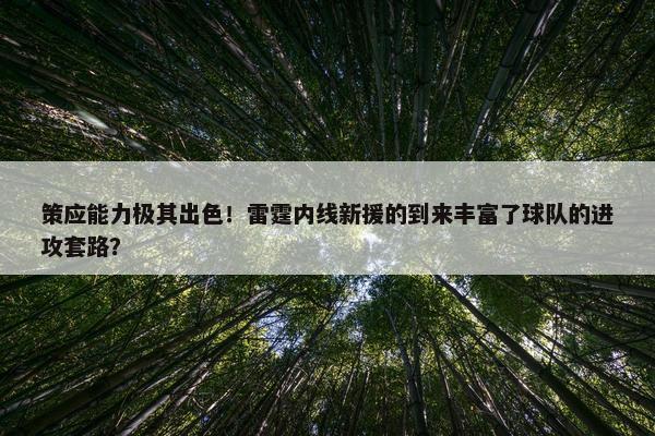 策应能力极其出色！雷霆内线新援的到来丰富了球队的进攻套路？