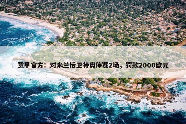 意甲官方：对米兰后卫特奥停赛2场，罚款2000欧元