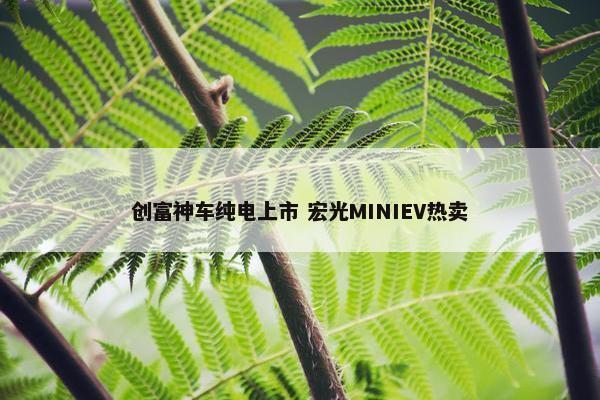 创富神车纯电上市 宏光MINIEV热卖