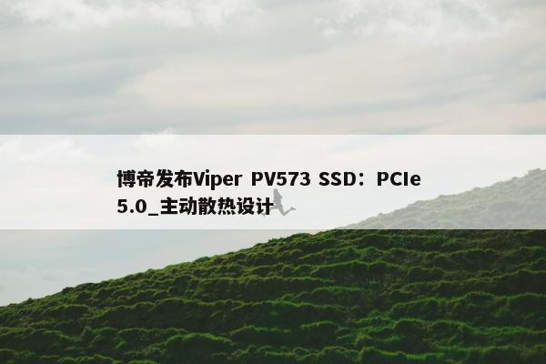 博帝发布Viper PV573 SSD：PCIe 5.0_主动散热设计