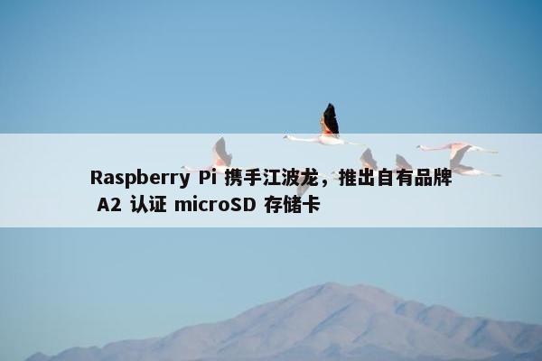 Raspberry Pi 携手江波龙，推出自有品牌 A2 认证 microSD 存储卡