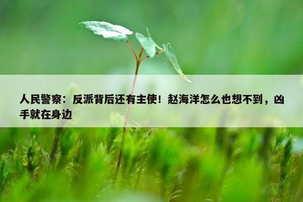 人民警察：反派背后还有主使！赵海洋怎么也想不到，凶手就在身边