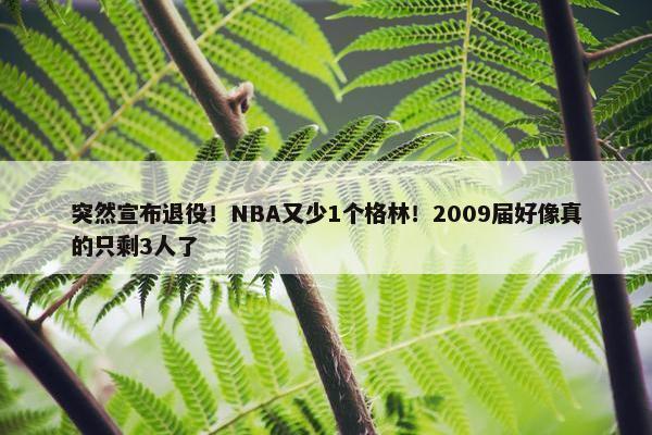 突然宣布退役！NBA又少1个格林！2009届好像真的只剩3人了