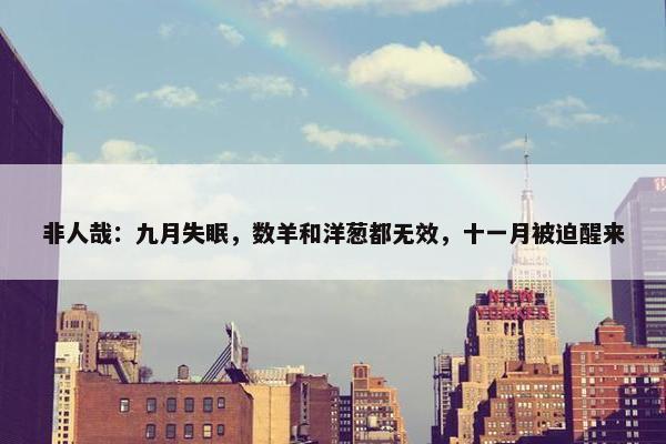 非人哉：九月失眠，数羊和洋葱都无效，十一月被迫醒来