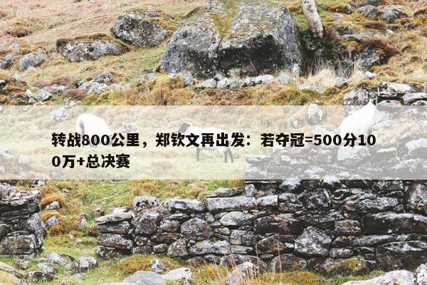 转战800公里，郑钦文再出发：若夺冠=500分100万+总决赛