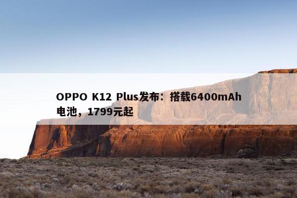 OPPO K12 Plus发布：搭载6400mAh电池，1799元起