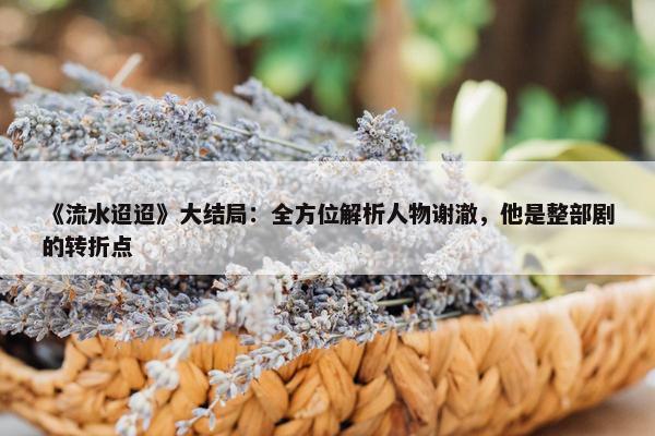 《流水迢迢》大结局：全方位解析人物谢澈，他是整部剧的转折点