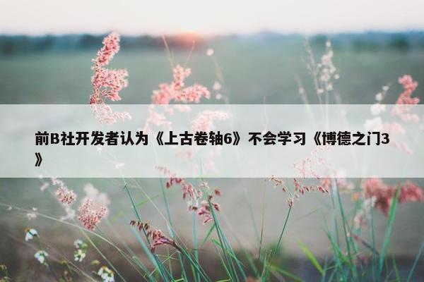 前B社开发者认为《上古卷轴6》不会学习《博德之门3》