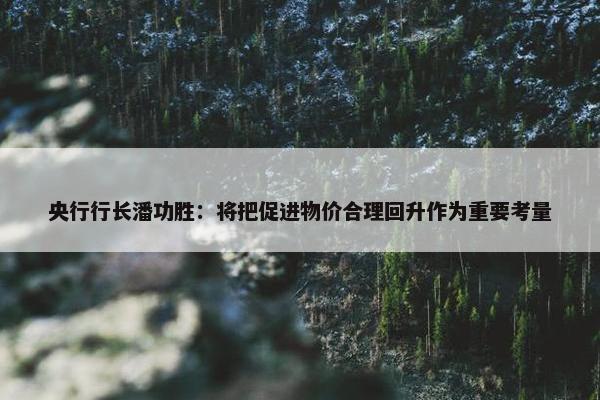 央行行长潘功胜：将把促进物价合理回升作为重要考量