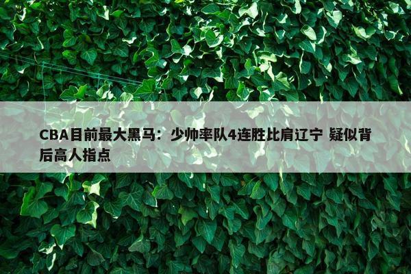 CBA目前最大黑马：少帅率队4连胜比肩辽宁 疑似背后高人指点