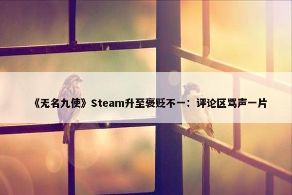 《无名九使》Steam升至褒贬不一：评论区骂声一片