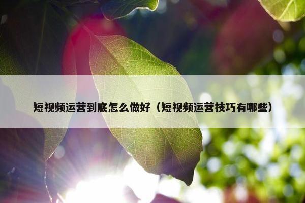 短视频运营到底怎么做好（短视频运营技巧有哪些）