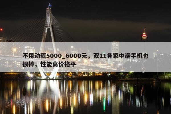 不用动辄5000_6000元，双11各家中端手机也很棒，性能高价格平