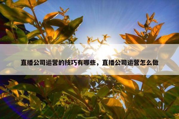 直播公司运营的技巧有哪些，直播公司运营怎么做