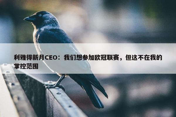 利雅得新月CEO：我们想参加欧冠联赛，但这不在我的掌控范围