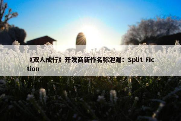 《双人成行》开发商新作名称泄漏：Split Fiction