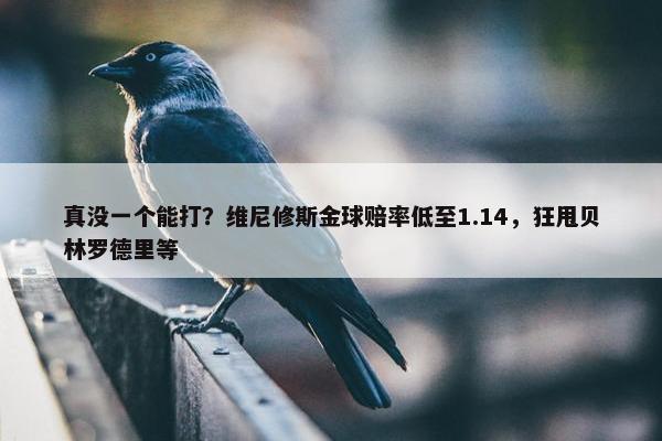 真没一个能打？维尼修斯金球赔率低至1.14，狂甩贝林罗德里等