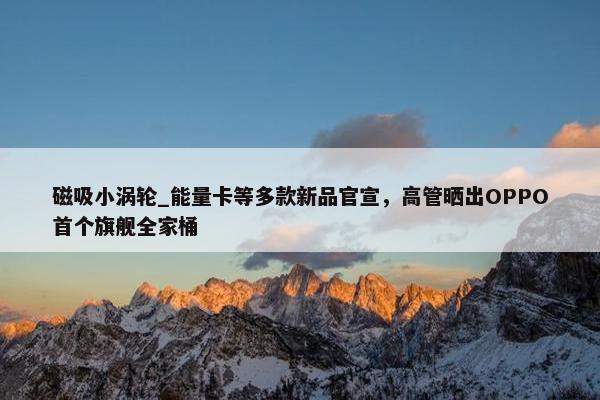 磁吸小涡轮_能量卡等多款新品官宣，高管晒出OPPO首个旗舰全家桶