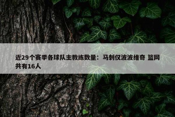 近29个赛季各球队主教练数量：马刺仅波波维奇 篮网共有16人