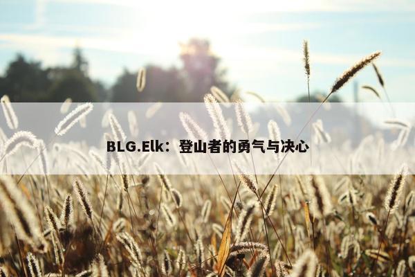 BLG.Elk：登山者的勇气与决心