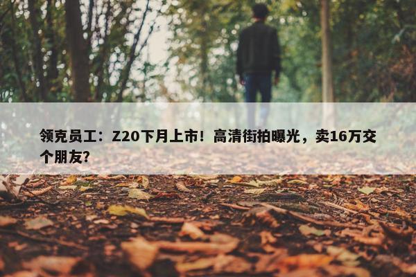 领克员工：Z20下月上市！高清街拍曝光，卖16万交个朋友？