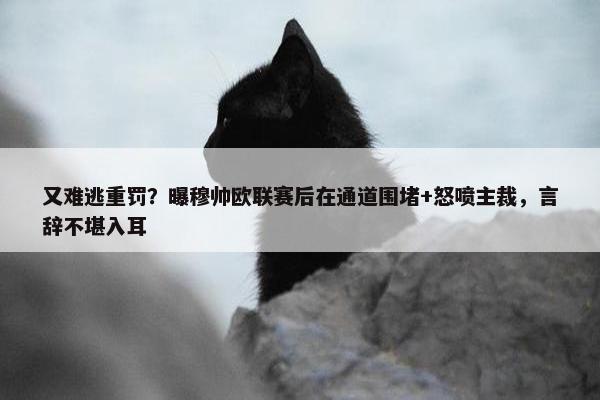 又难逃重罚？曝穆帅欧联赛后在通道围堵+怒喷主裁，言辞不堪入耳