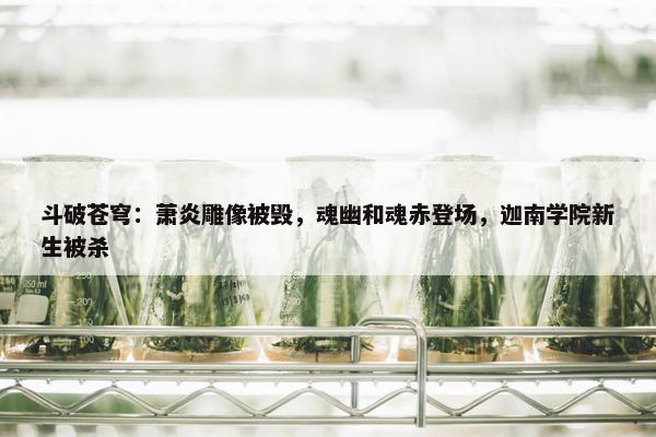 斗破苍穹：萧炎雕像被毁，魂幽和魂赤登场，迦南学院新生被杀