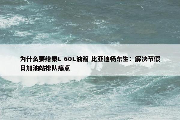 为什么要给秦L 60L油箱 比亚迪杨东生：解决节假日加油站排队痛点