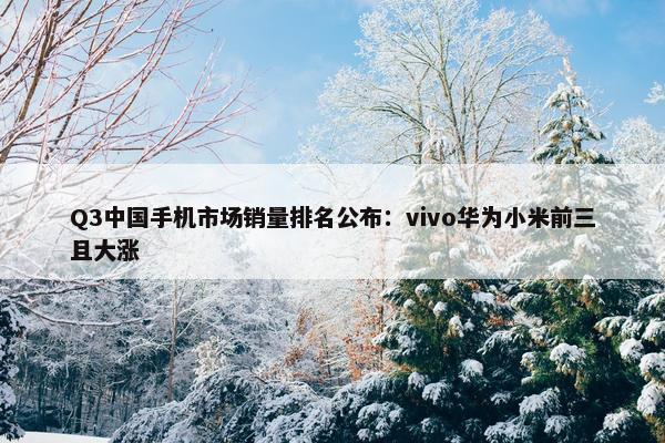 Q3中国手机市场销量排名公布：vivo华为小米前三且大涨