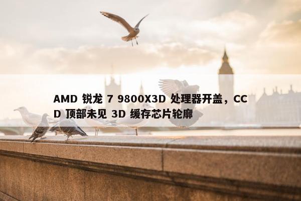 AMD 锐龙 7 9800X3D 处理器开盖，CCD 顶部未见 3D 缓存芯片轮廓