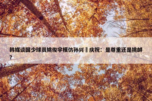 韩媒谈国少球员姚俊宇模仿孙兴慜庆祝：是尊重还是挑衅？