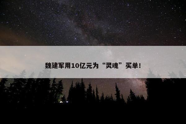 魏建军用10亿元为“灵魂”买单！