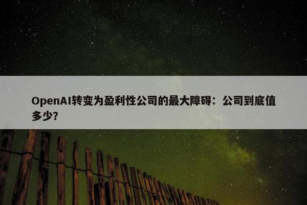 OpenAI转变为盈利性公司的最大障碍：公司到底值多少？