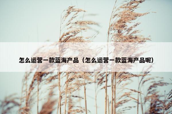 怎么运营一款蓝海产品（怎么运营一款蓝海产品呢）