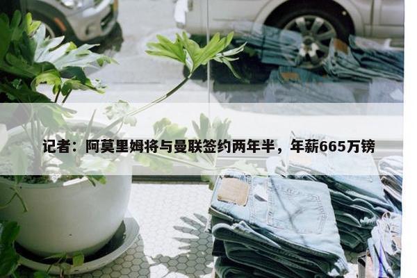 记者：阿莫里姆将与曼联签约两年半，年薪665万镑