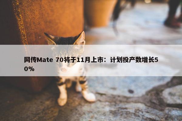 网传Mate 70将于11月上市：计划投产数增长50%