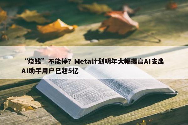 “烧钱”不能停？Meta计划明年大幅提高AI支出 AI助手用户已超5亿