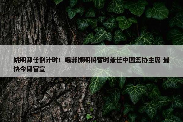 姚明卸任倒计时！曝郭振明将暂时兼任中国篮协主席 最快今日官宣