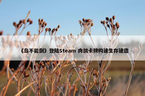 《岛不能倒》登陆Steam 肉鸽卡牌构建生存建造