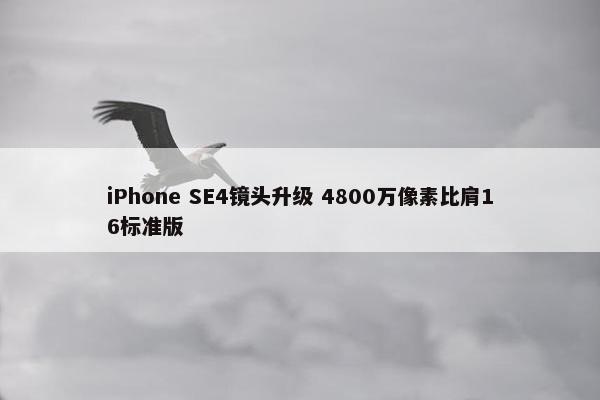 iPhone SE4镜头升级 4800万像素比肩16标准版