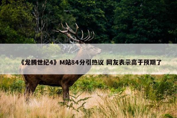 《龙腾世纪4》M站84分引热议 网友表示高于预期了