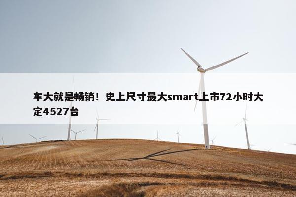 车大就是畅销！史上尺寸最大smart上市72小时大定4527台