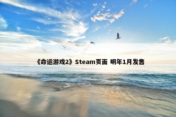 《命运游戏2》Steam页面 明年1月发售